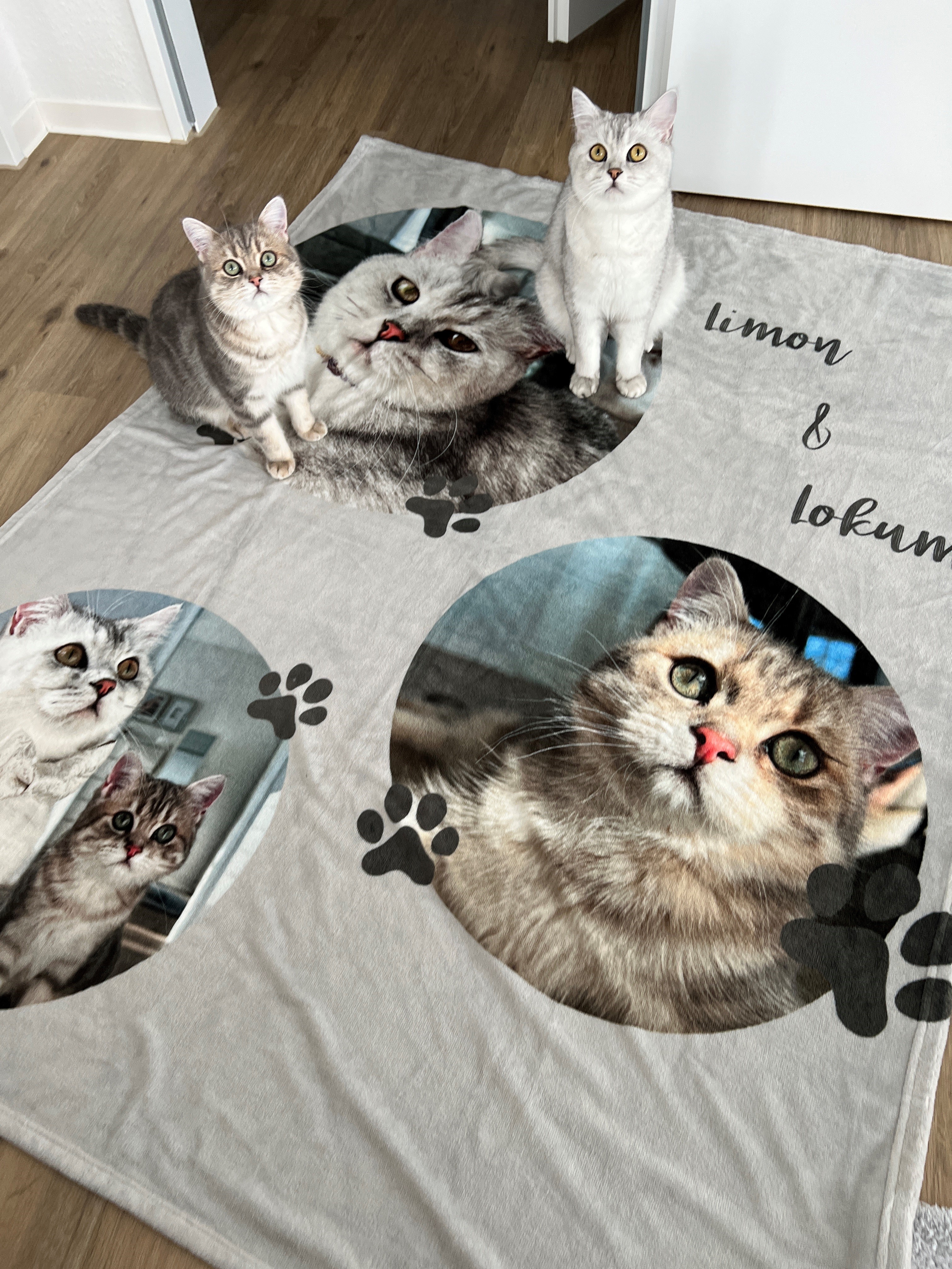 Kuscheldecke 125 x 155 cm, selbst gestalten