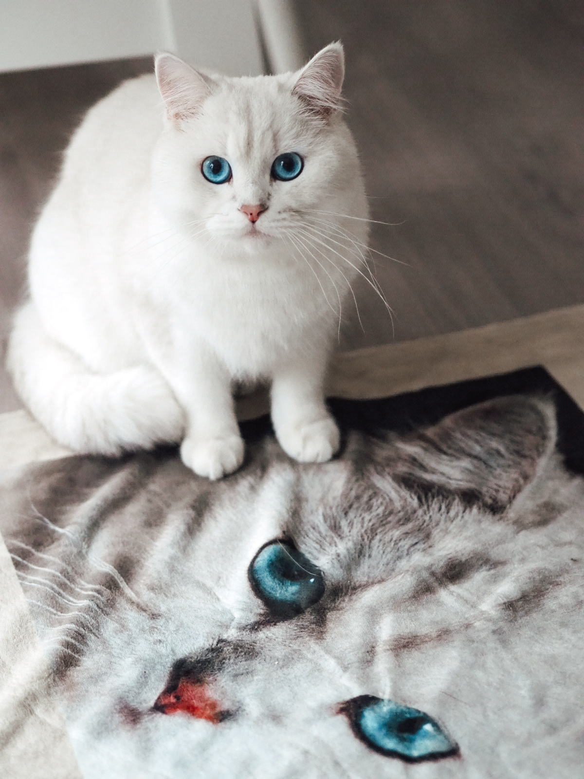 Kuscheldecke 125 x 155 cm, selbst gestalten