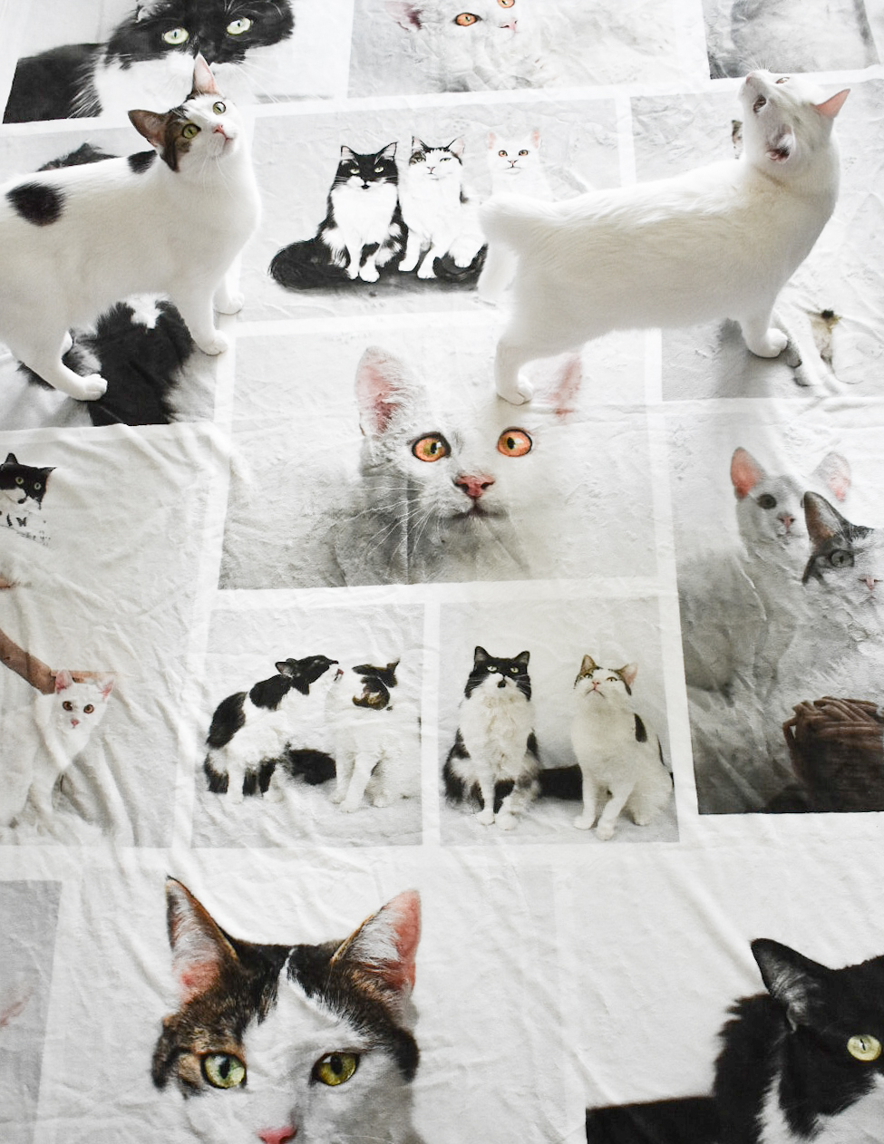 Kuscheldecke 140 x 200 cm, selbst gestalten